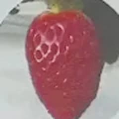 スターナイト
