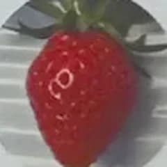 すず